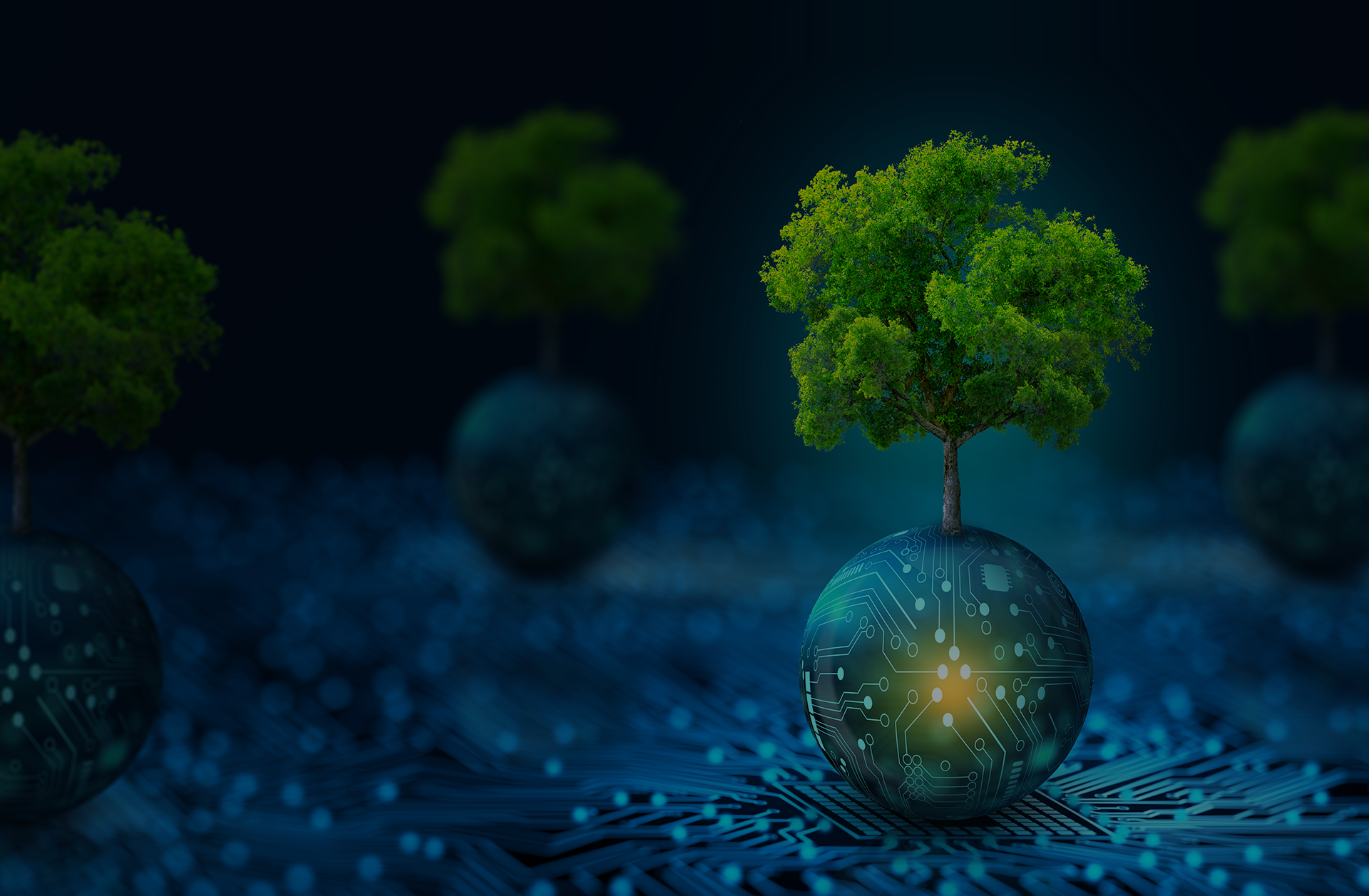 BRIS 생명자원정보서비스